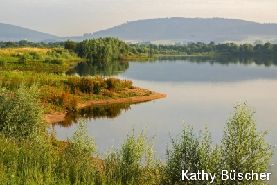 Sommerliche Auenlandschaft