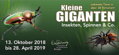 Kleine GIGANTEN. Insekten, Spinnen Co.